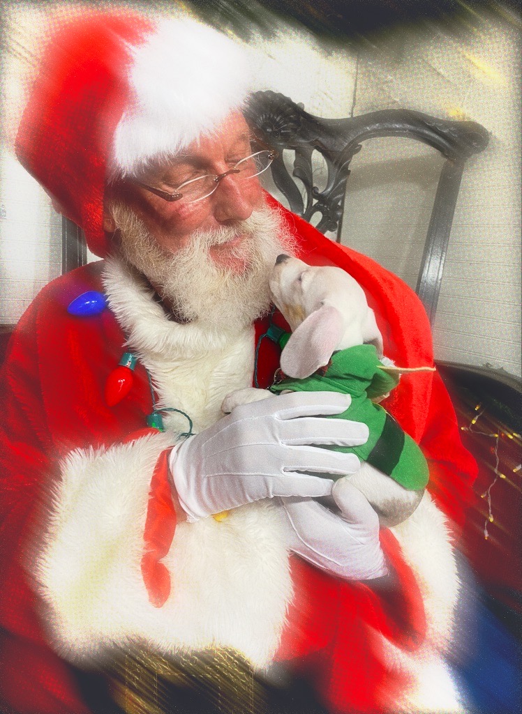 A Professional Santa that you can trust